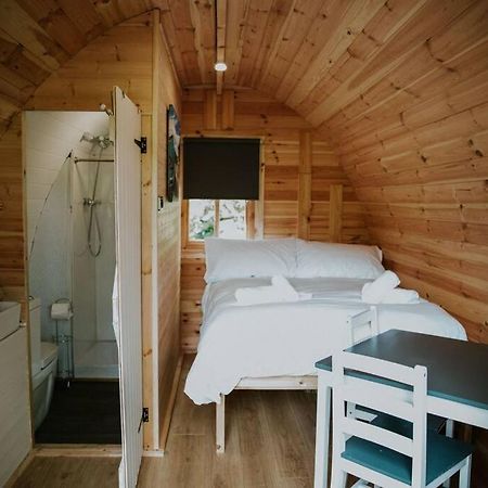 Ash Winter Retreat- Hot Tub & Log Bruner Barmouth Extérieur photo