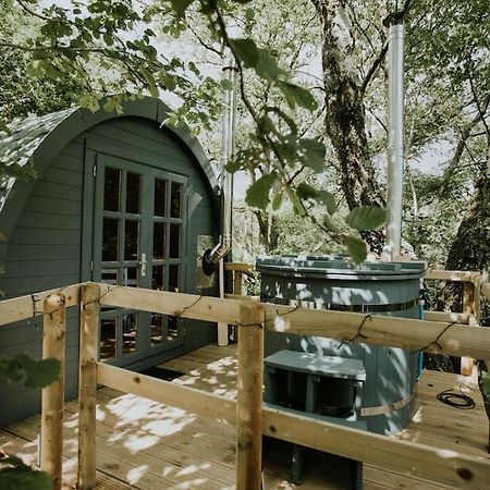 Ash Winter Retreat- Hot Tub & Log Bruner Barmouth Extérieur photo