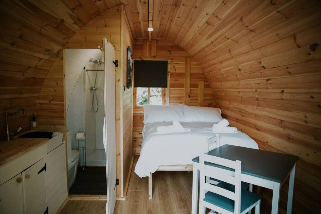 Ash Winter Retreat- Hot Tub & Log Bruner Barmouth Extérieur photo
