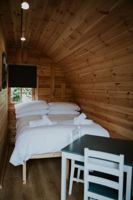 Ash Winter Retreat- Hot Tub & Log Bruner Barmouth Extérieur photo
